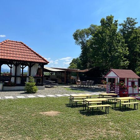 Casa Cu Flori Maramures Baia Mare Exterior foto