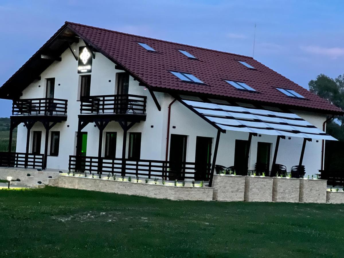 Casa Cu Flori Maramures Baia Mare Exterior foto