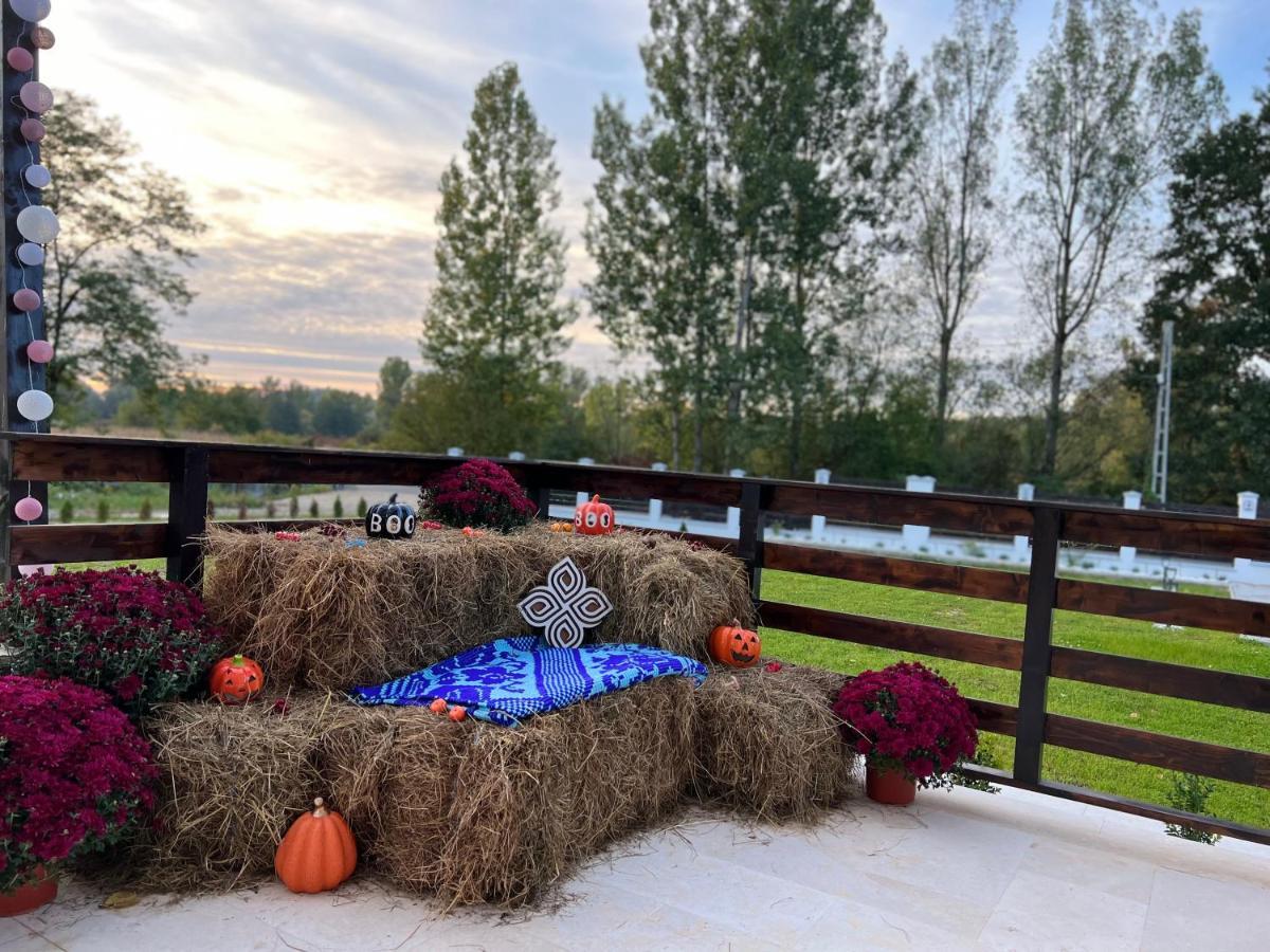 Casa Cu Flori Maramures Baia Mare Exterior foto