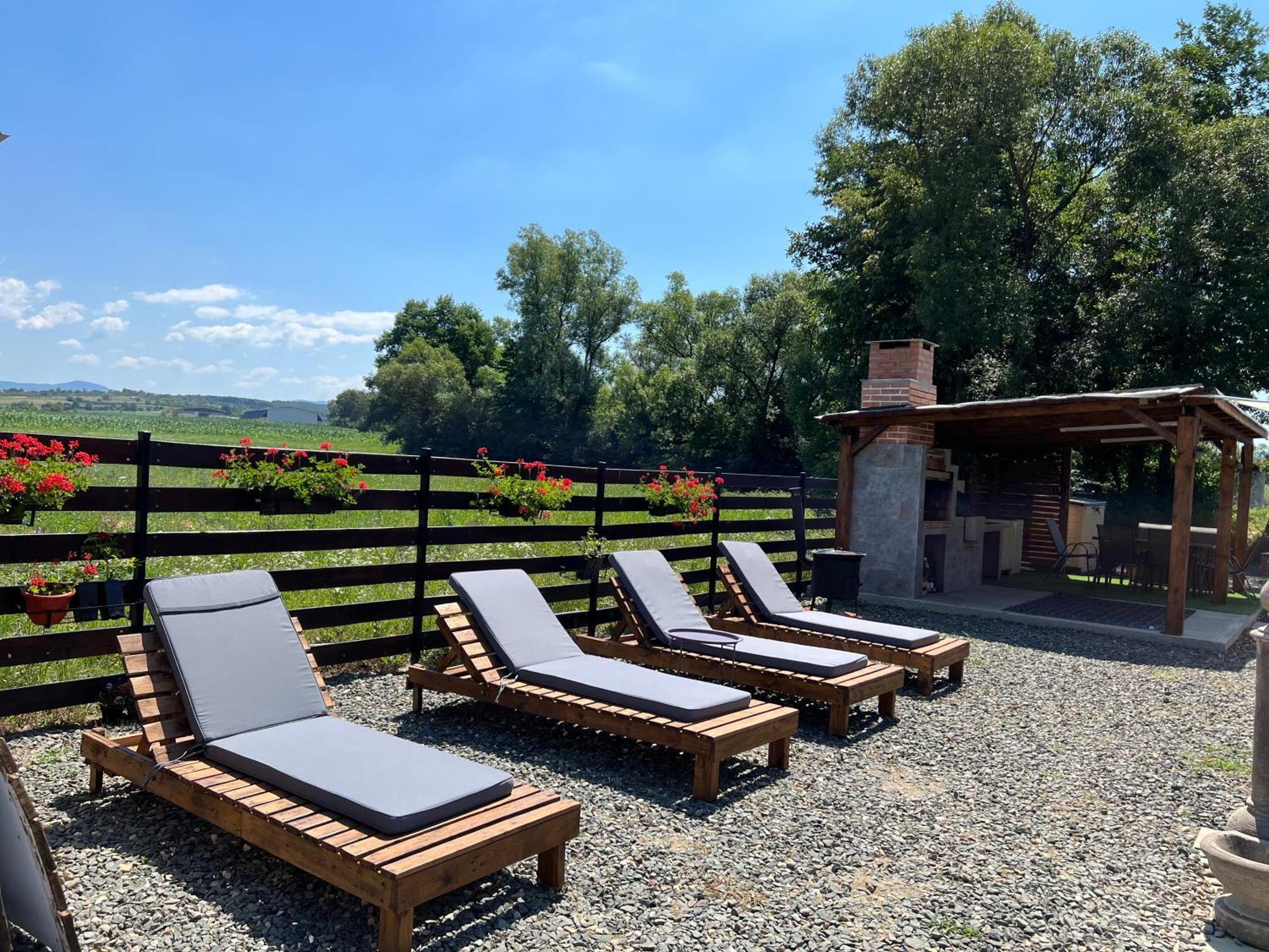 Casa Cu Flori Maramures Baia Mare Exterior foto