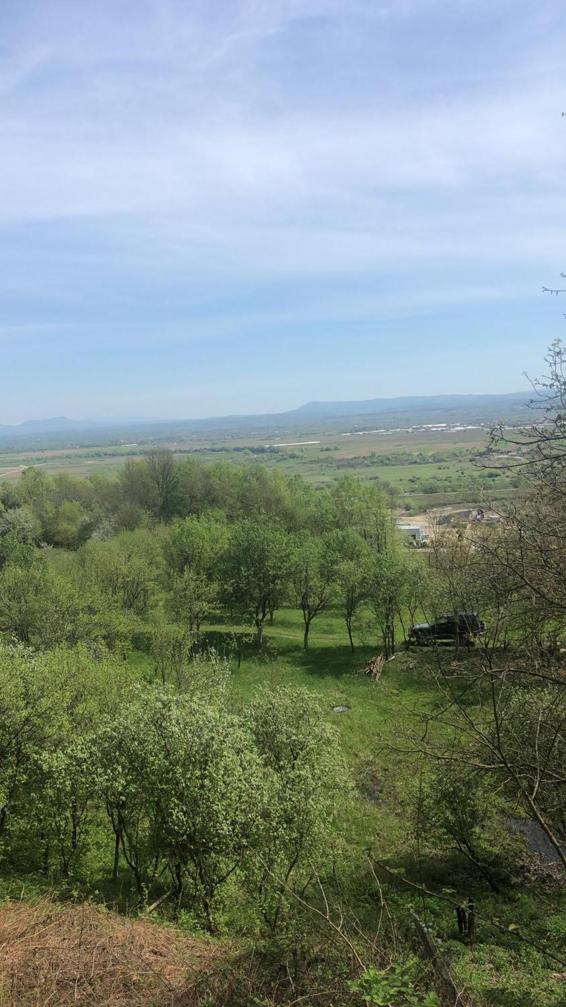 Casa Cu Flori Maramures Baia Mare Exterior foto